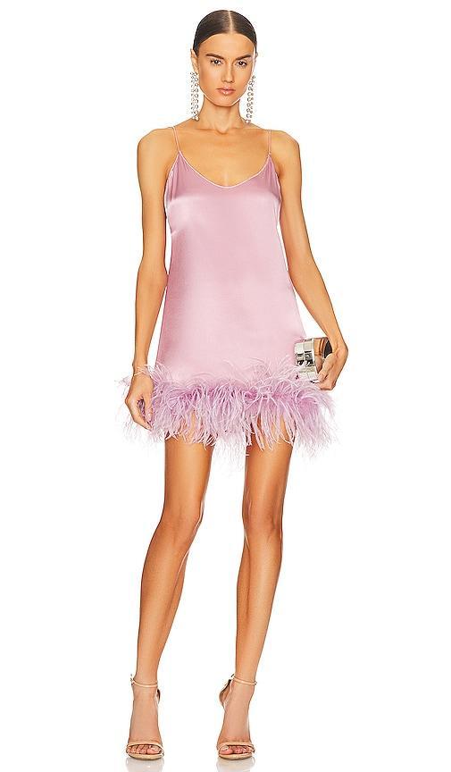 Plumage Babydoll Dress Product Image