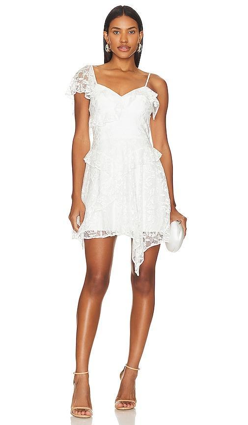 Bailee Dress Product Image