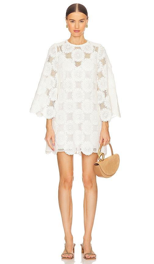 Junie Tunic Dress Product Image