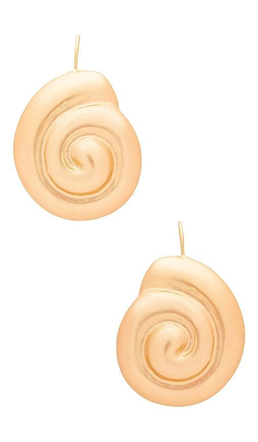 Nautilus Earrings Product Image