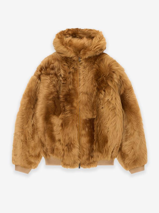 Shearling Hooded Bomber Male Product Image