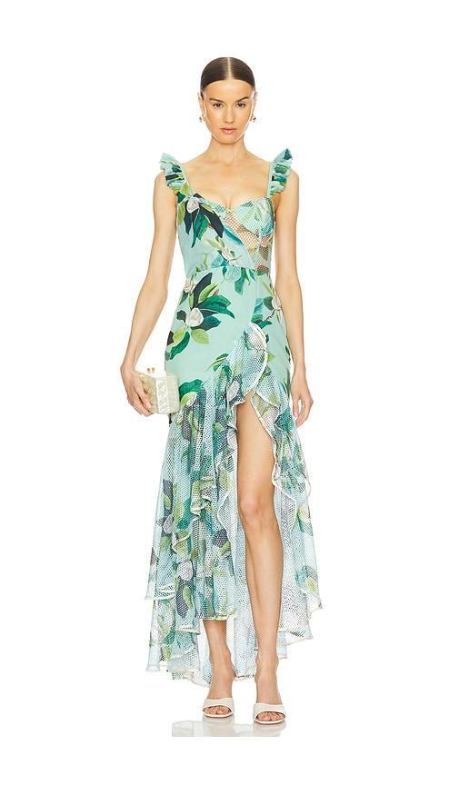 Magnolia Bustier Maxi Dress Product Image