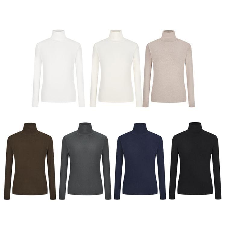 Long Sleeve Turtleneck Plain Top Product Image