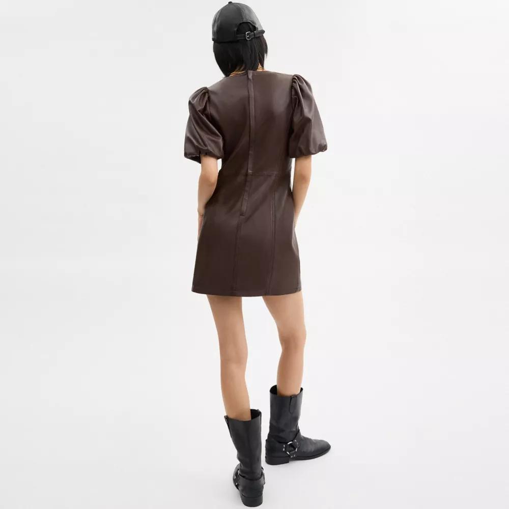 Leather Puff Sleeve Dress Product Image