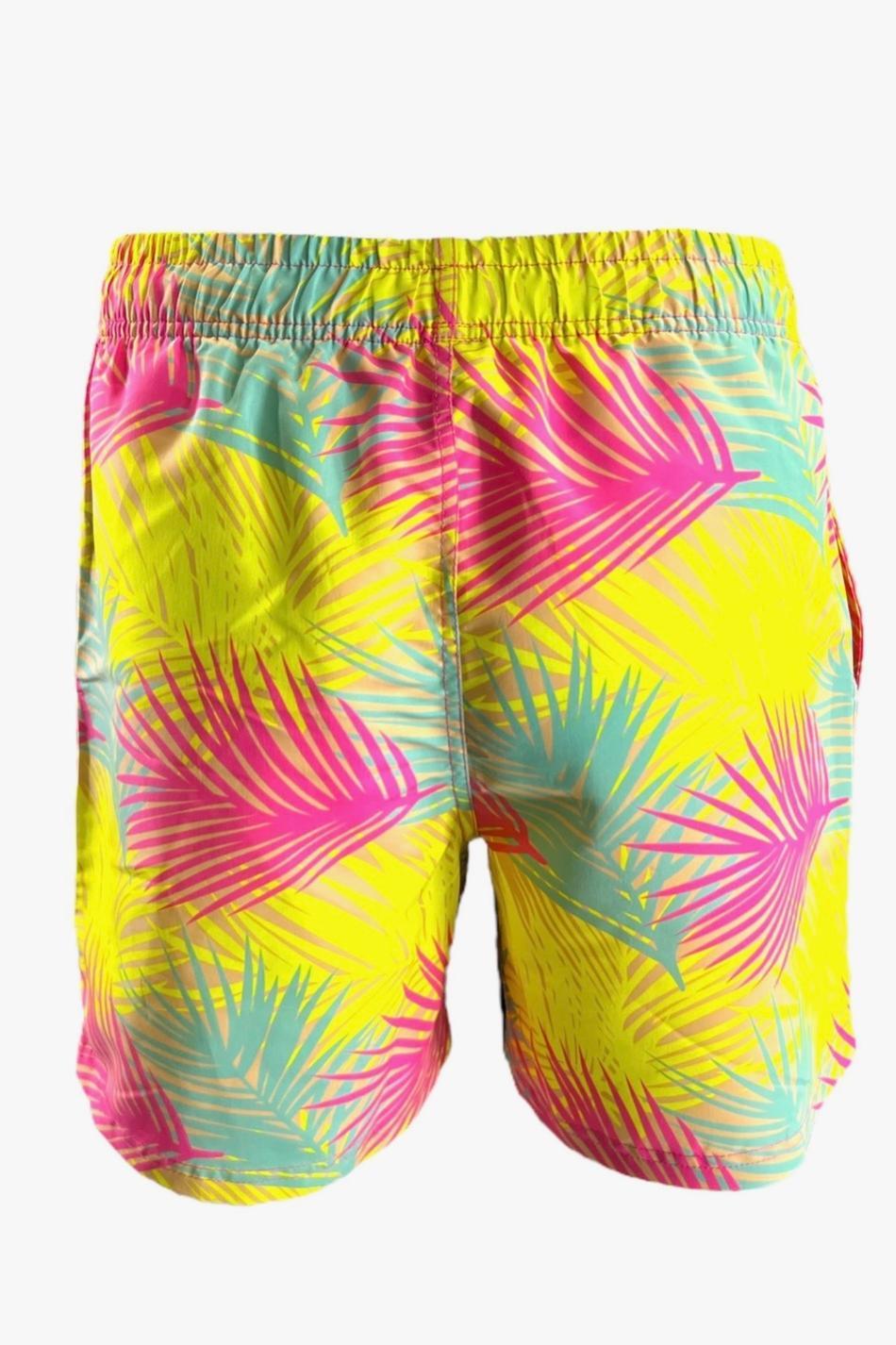 Men's Swim Shorts Product Image