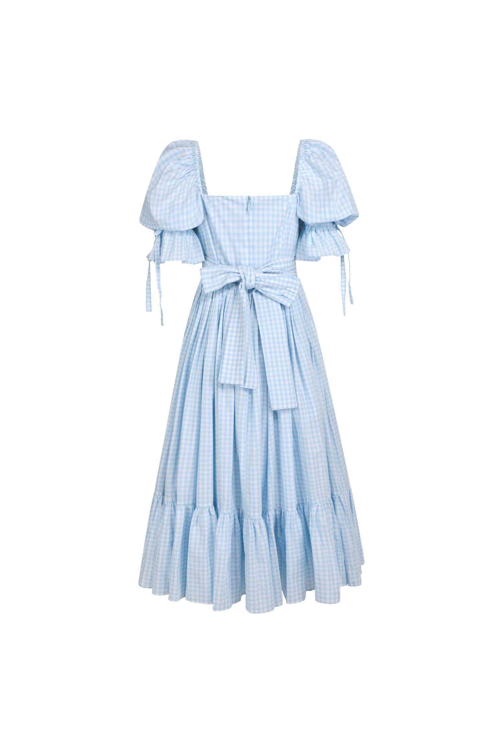 The Blue Gingham Market Dress Product Image