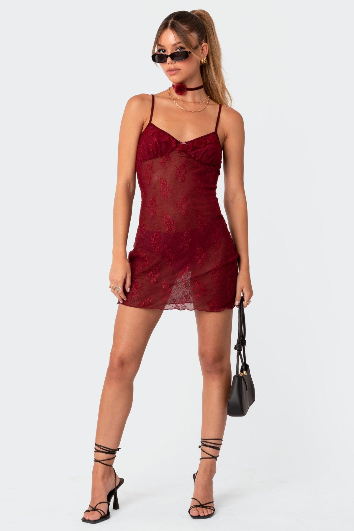 Madame Sheer Lace Mini Dress Product Image