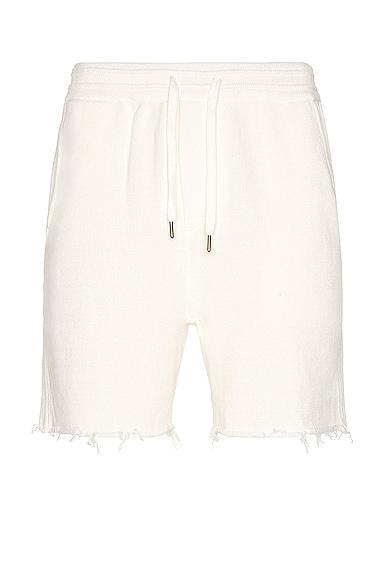 Mens Chris Shorts Product Image