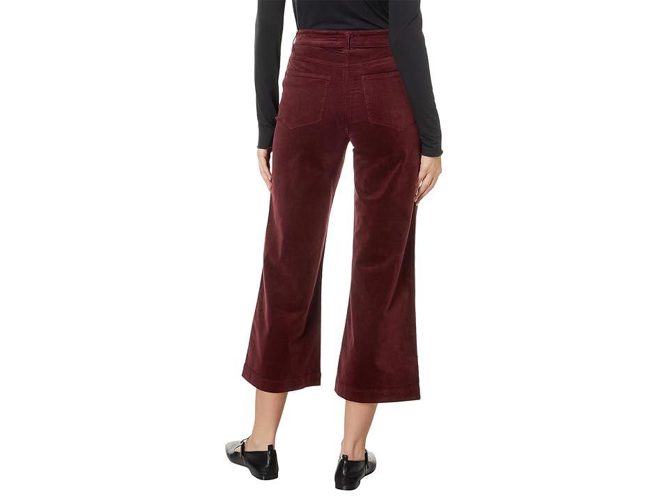 Paige Anessa in Dark Oxblood (Dark Oxblood) Women's Jeans Product Image