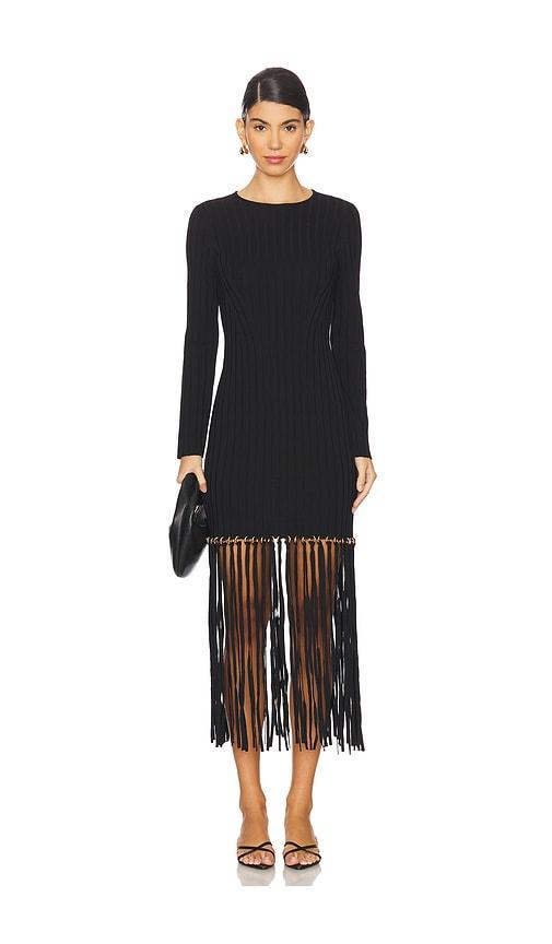 Sharron Maxi Fringe Dress Product Image