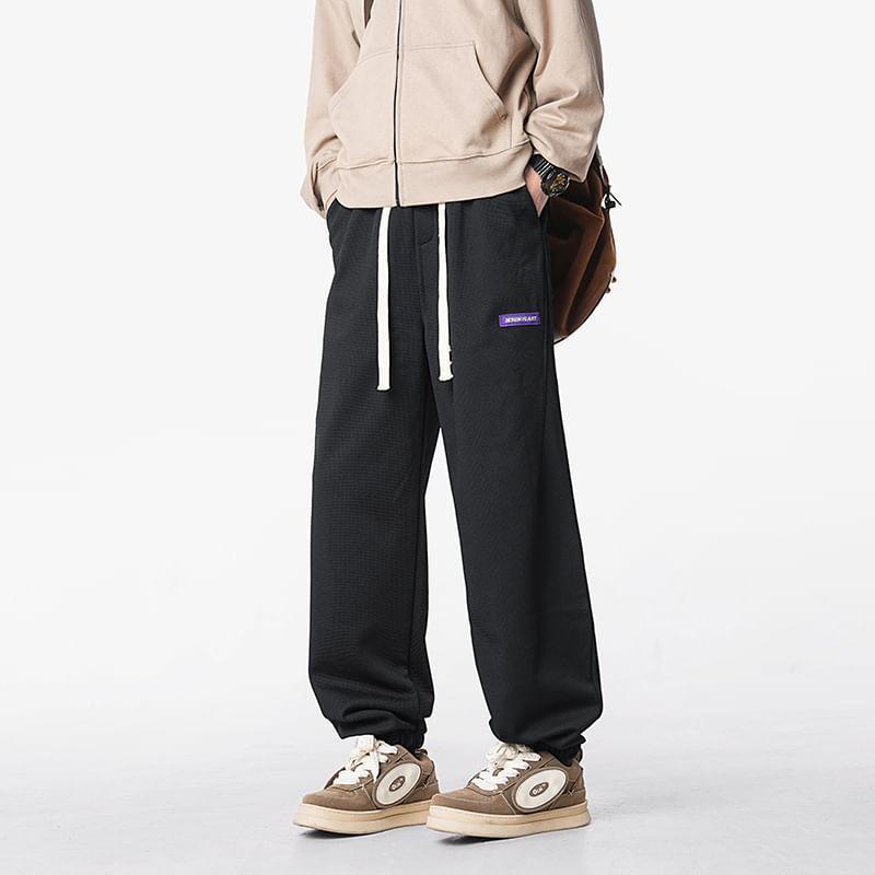 Drawstring Waist Plain Fleece-Lined Straight Leg Sweatpants Product Image