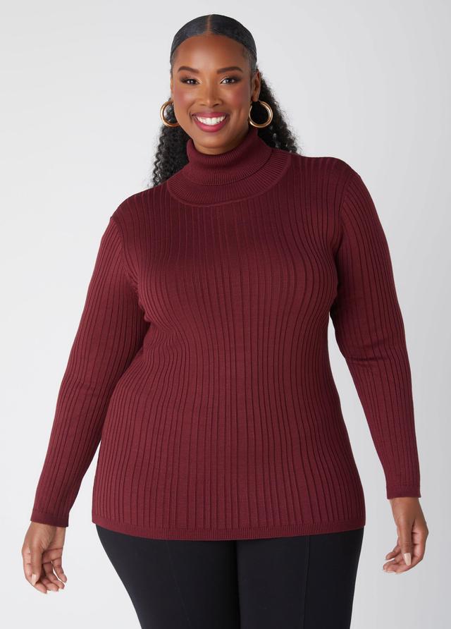 Plus Size Ribbed Turtleneck Sweater Ashley Stewart Product Image