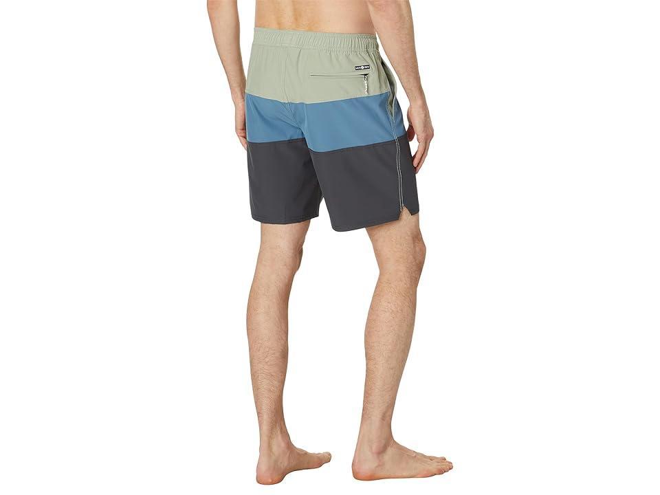 Salty Crew Beacons 2 Elastic 18 Boardshorts (Dusty Sage) Men's Swimwear Product Image