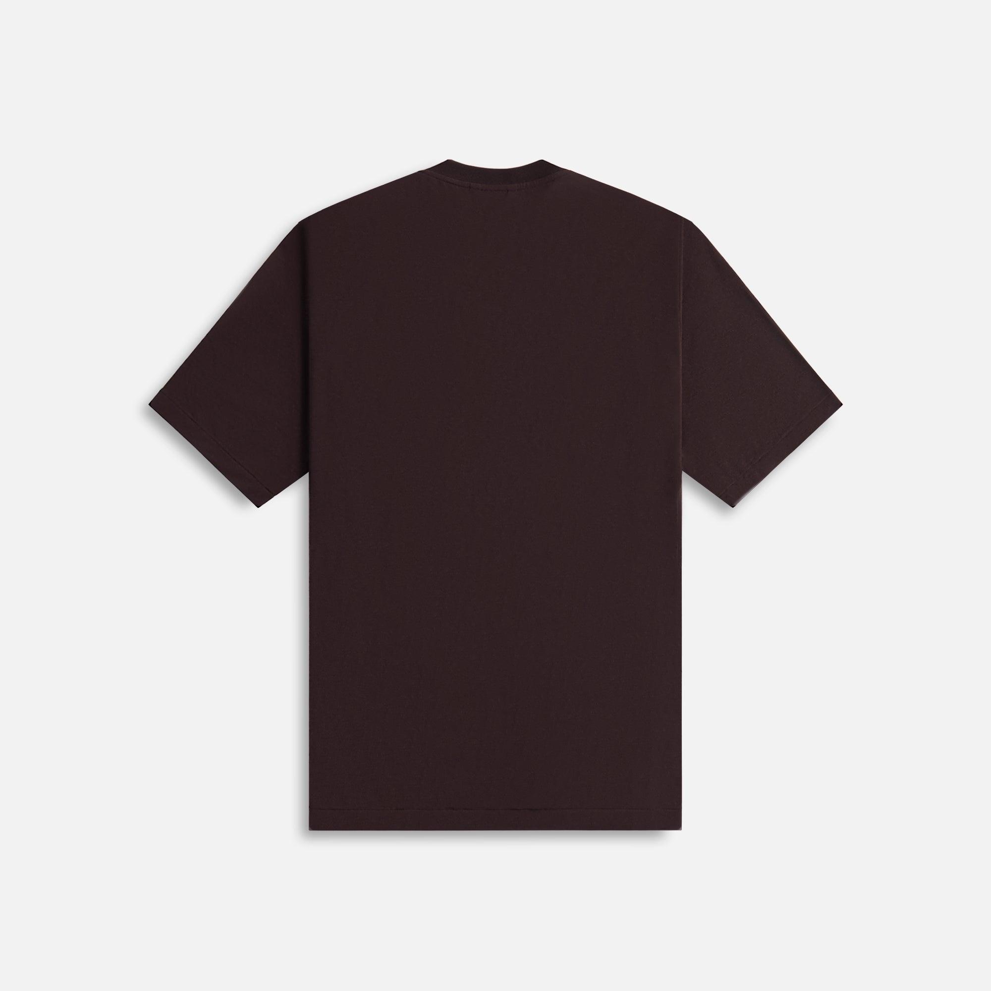 Auralee Super Soft Wool Jersey Tee - Dark Brown Male Product Image