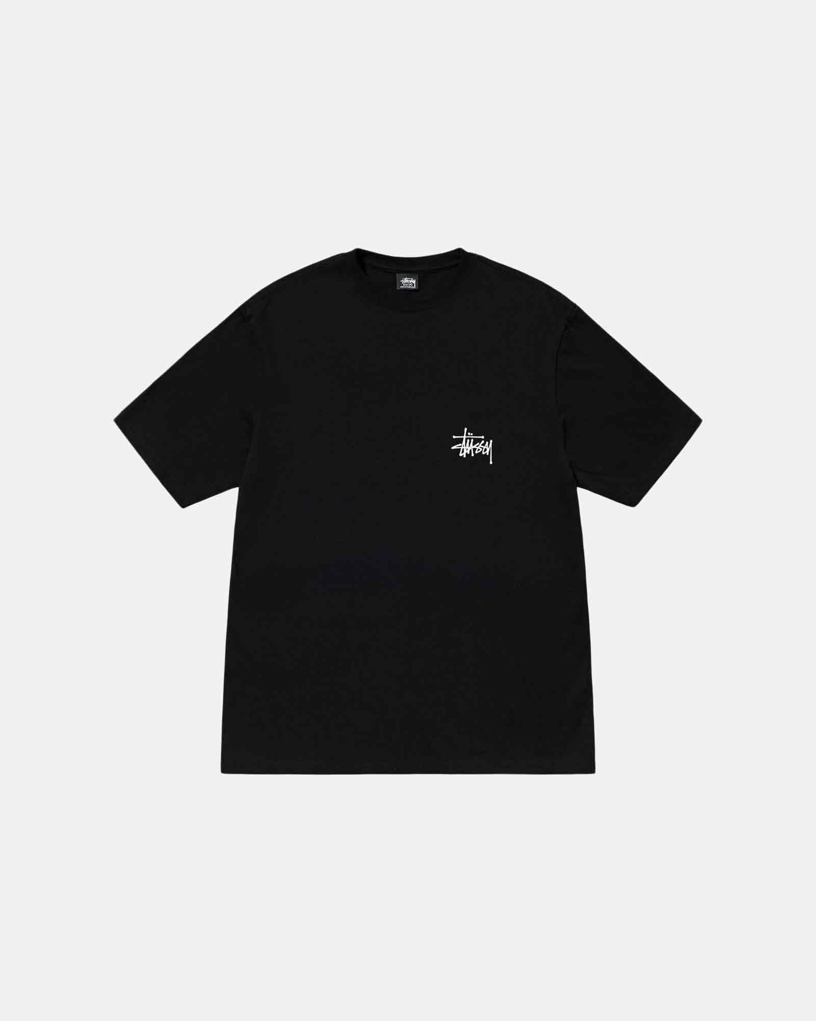 BASIC STÜSSY TEE Male Product Image