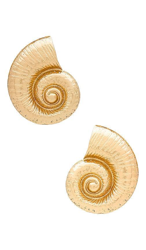 Shell Earring Product Image