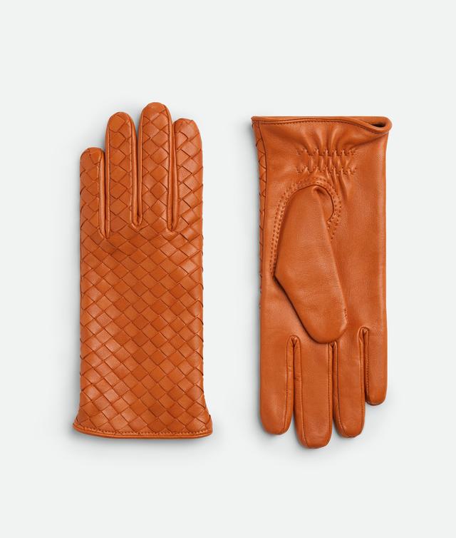 Women's Intrecciato Leather Gloves in Brick Product Image