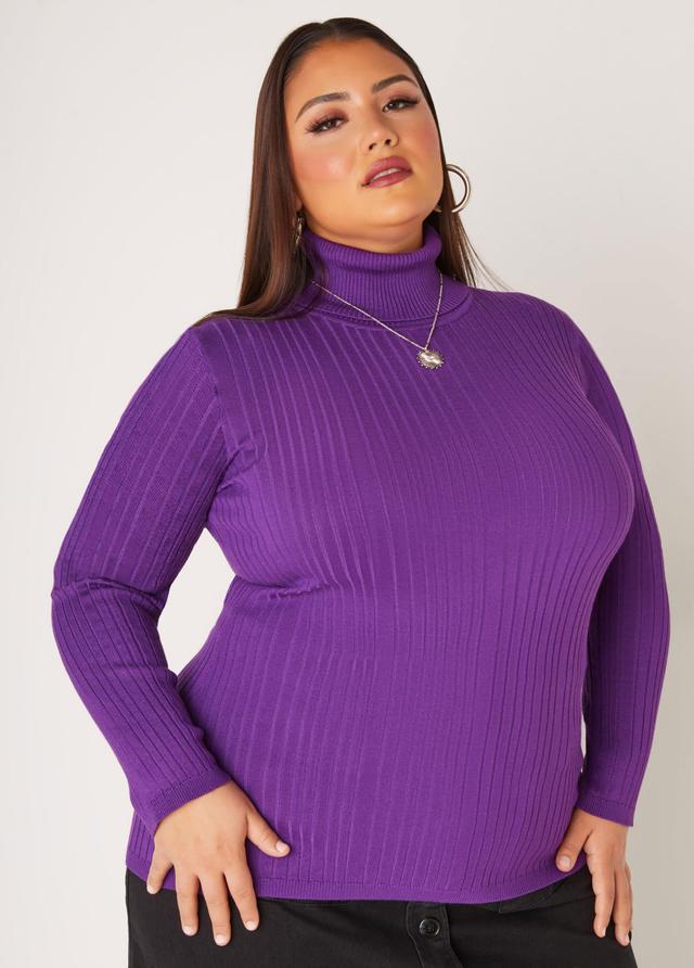 Turtleneck Pullover Sweater Product Image