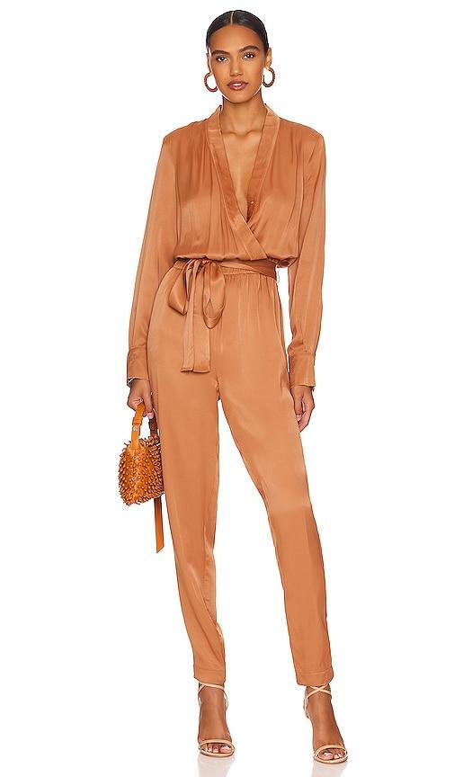 Dede Jumpsuit Product Image