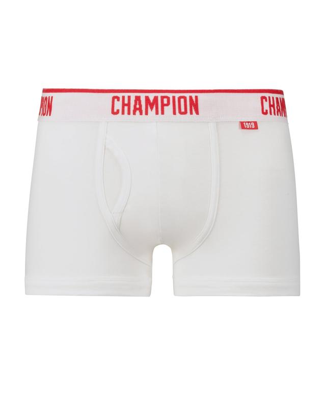 Champion Mens Collegiate Trunks Product Image