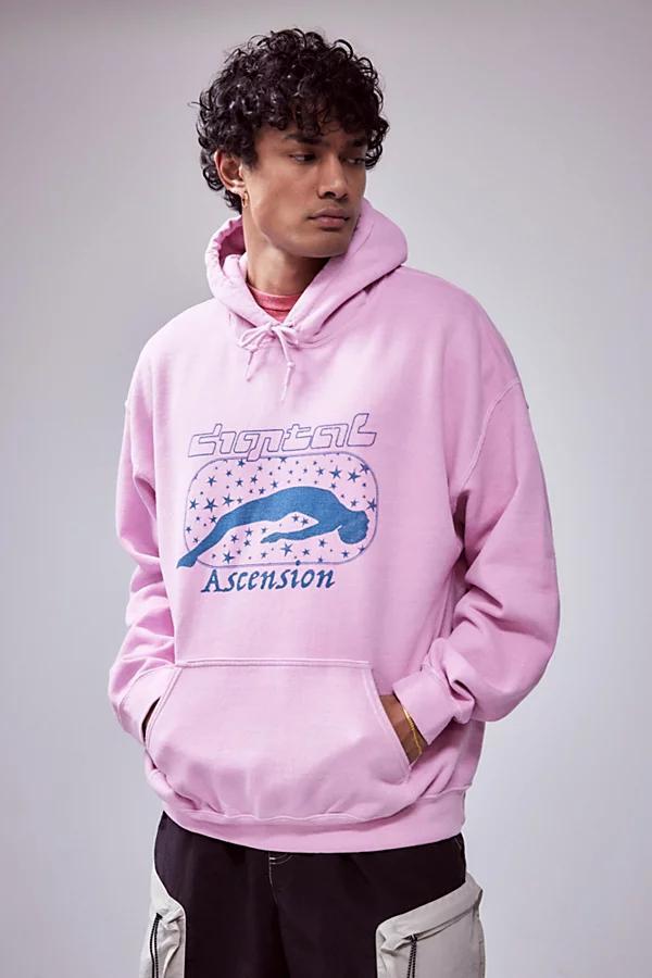 Urban Outfitters UO Pink Ascension Hoodie Sweatshirt Mens at Urban Outfitters Product Image