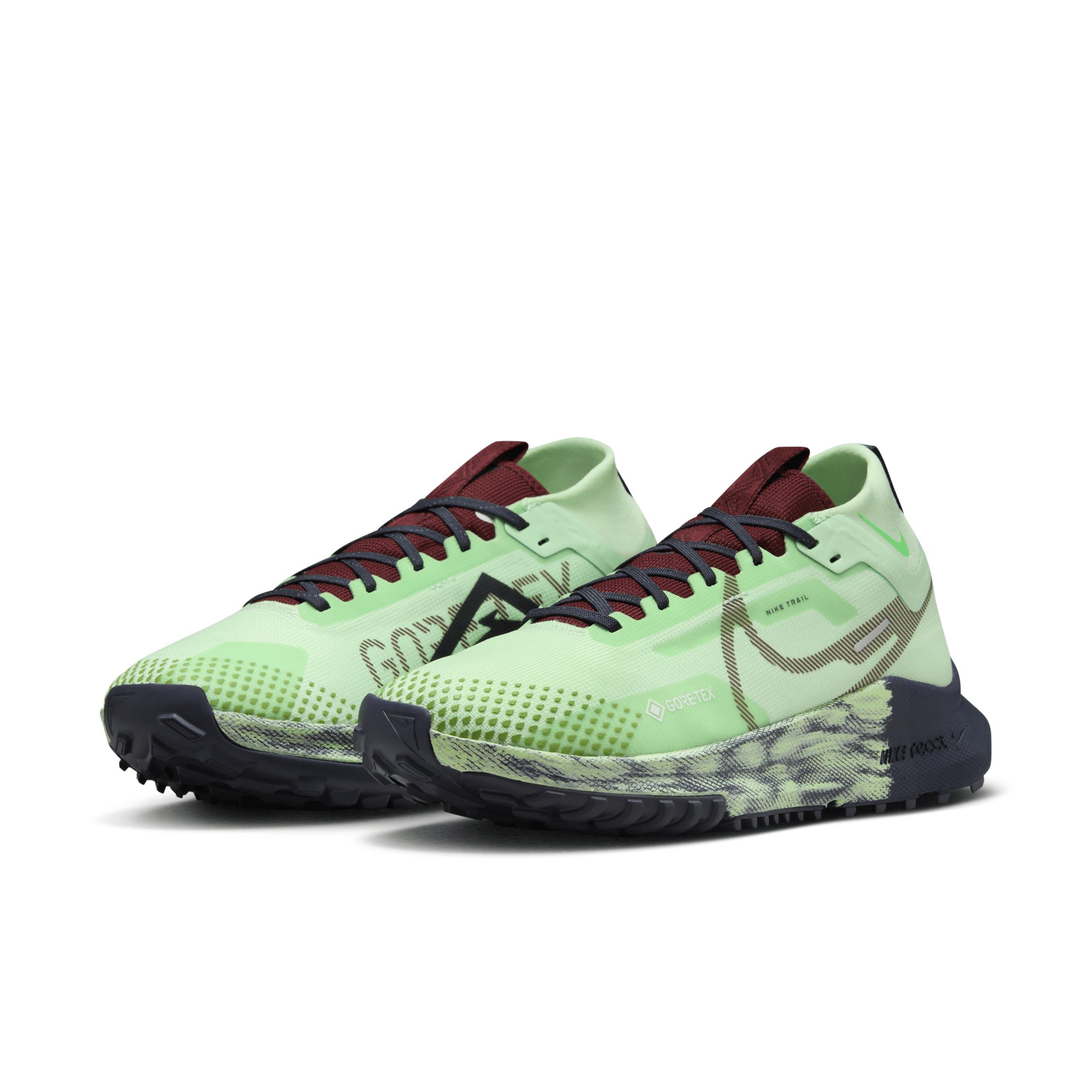 Nike Women's Pegasus Trail 4 GORE-TEX Waterproof Trail Running Shoes Product Image