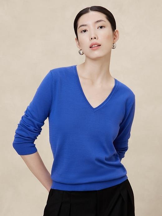 Forever V-Neck Sweater Product Image