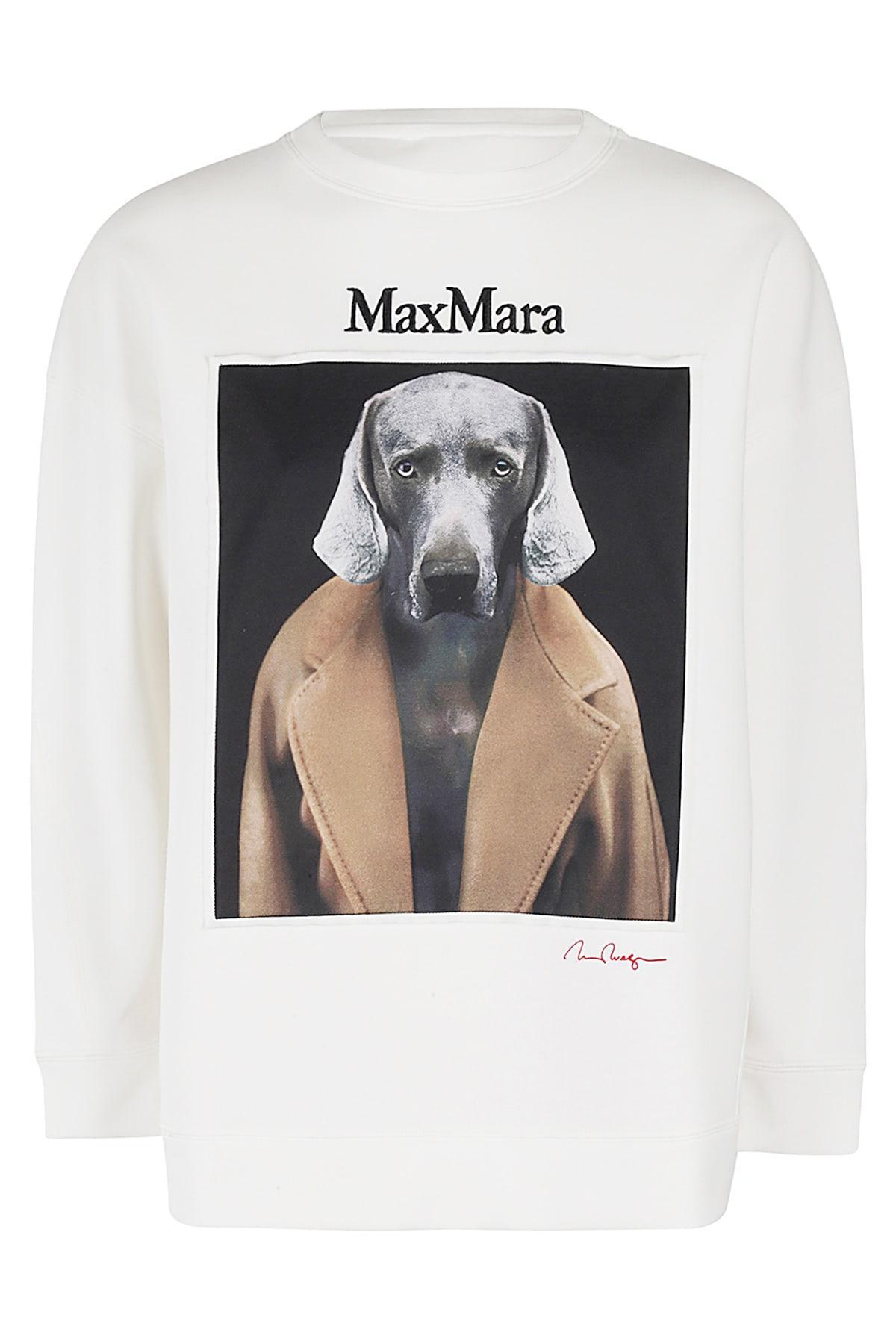 MAX MARA Logo Embroidered Crewneck Sweatshirt In White Product Image