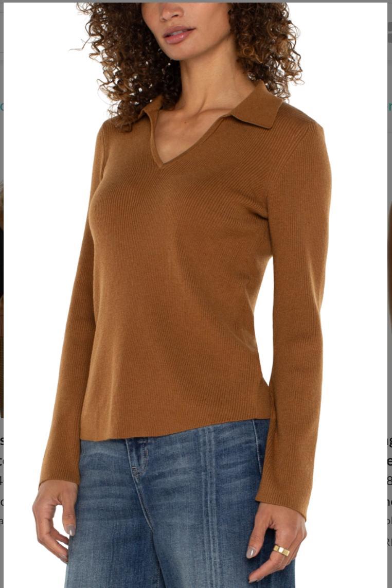 Long Sleeve V-Neck Collared Sweater- Tumeric Product Image