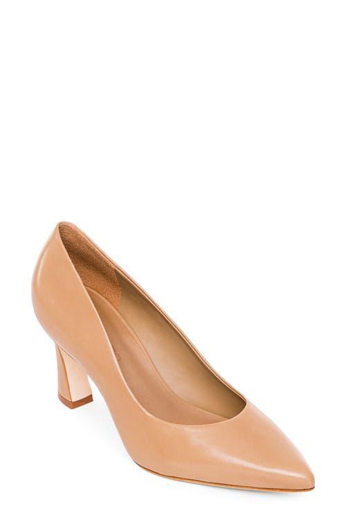 BERNARDO FOOTWEAR Faryn Pointed Toe Pump Product Image