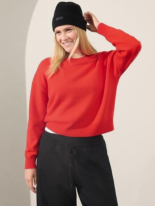 Alpine Crewneck Sweater Product Image