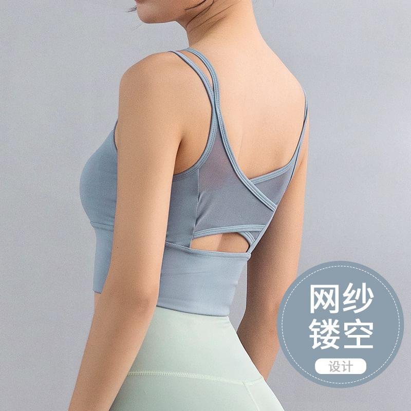 Sport Bra Top Product Image