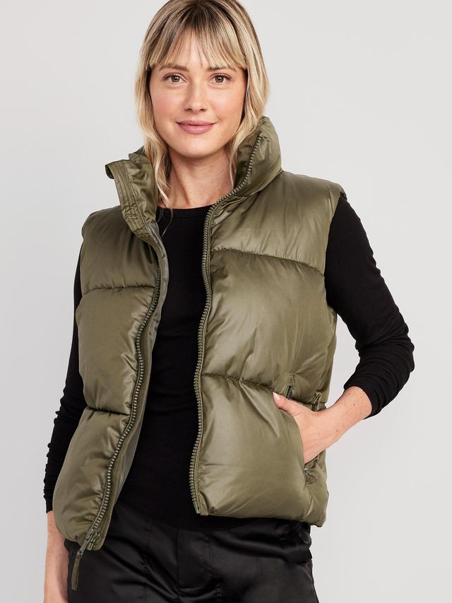 Quilted Puffer Vest Product Image