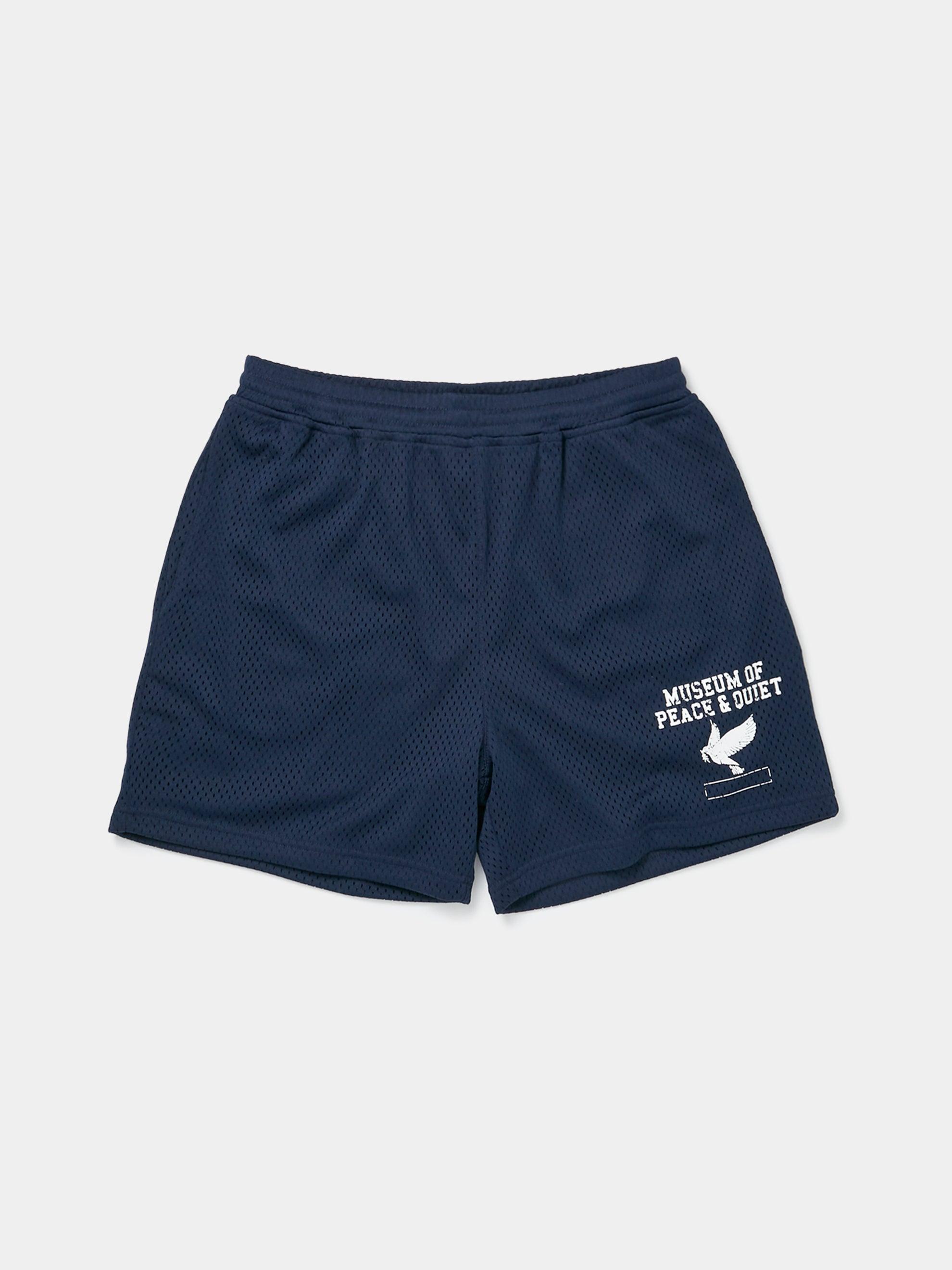 P.E. Mesh Shorts (Navy) Product Image