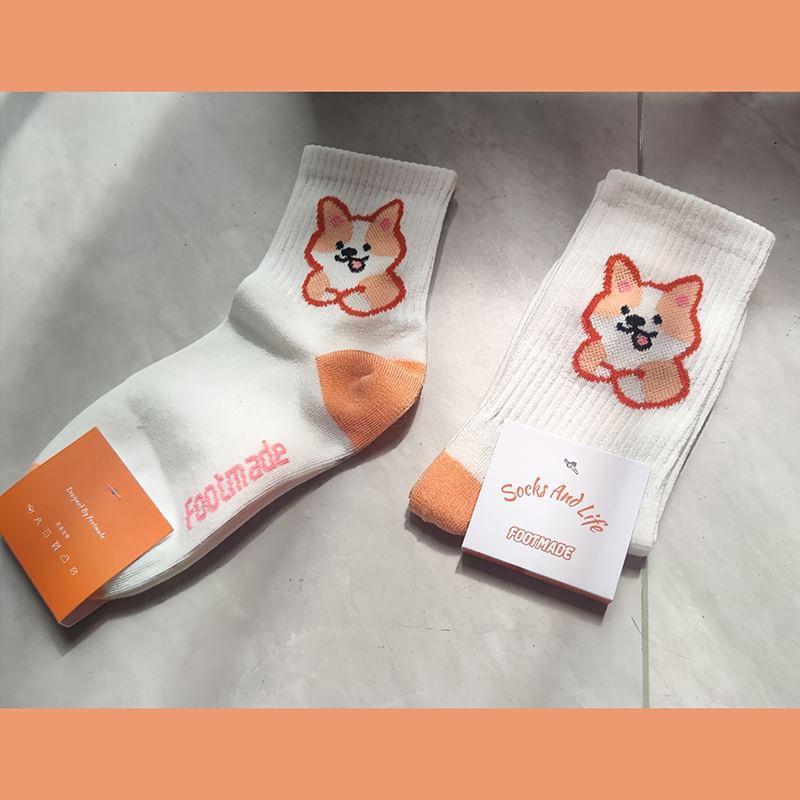 Dog Print Socks Product Image