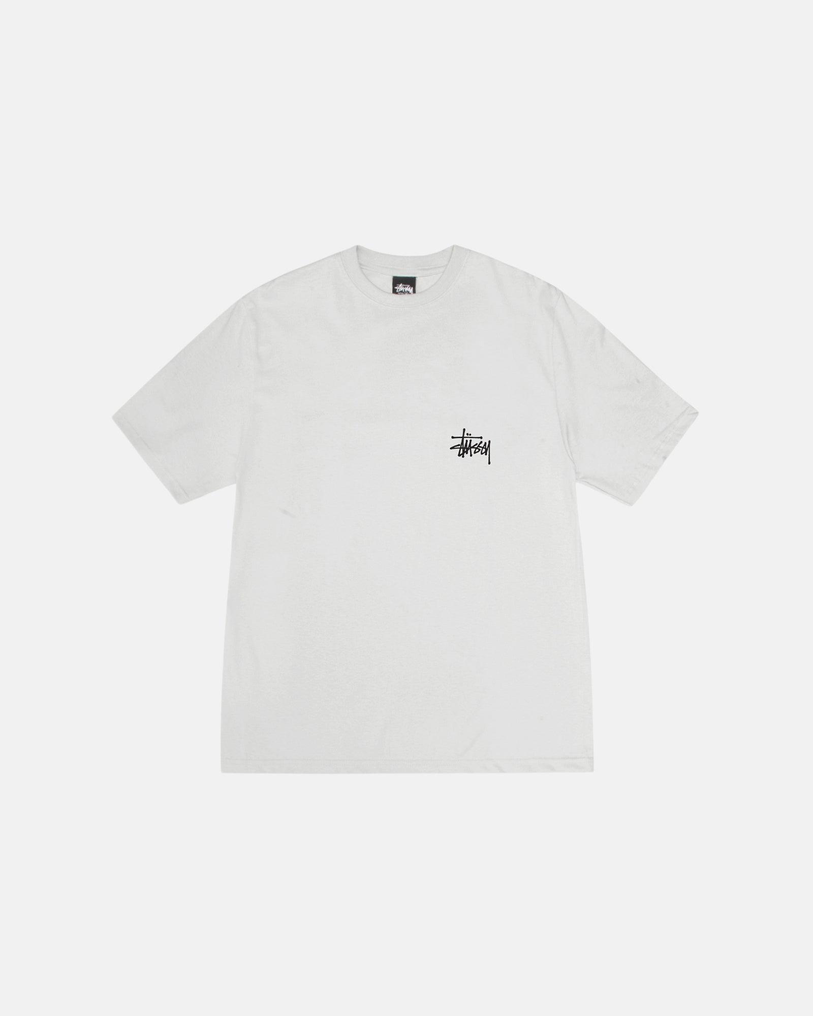 BASIC STÜSSY TEE Male Product Image