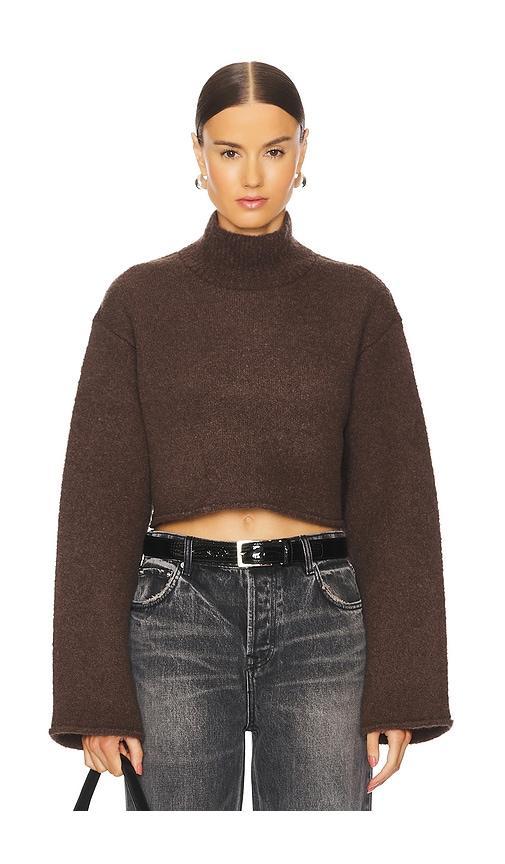 Emily Turtleneck Sweater product image