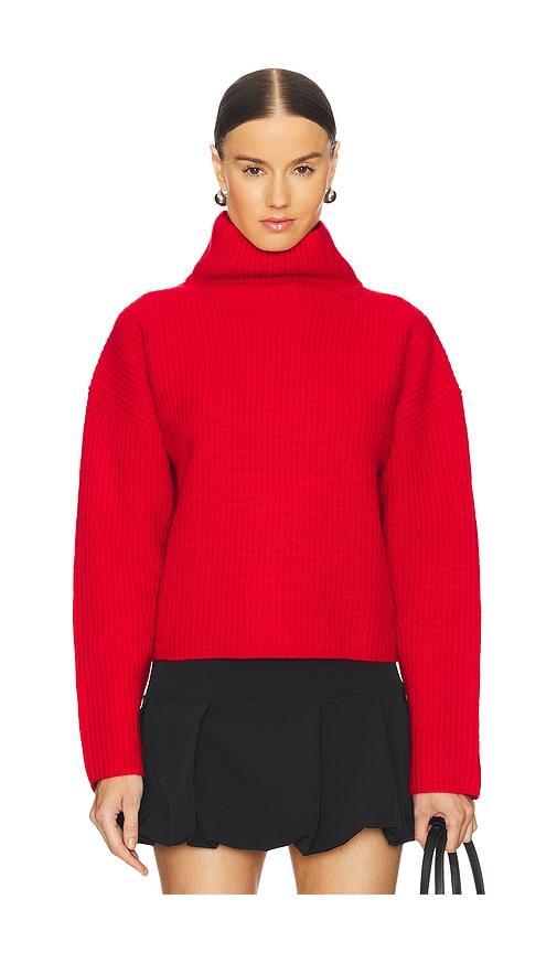 Cashmere Polo Long Sleeve Pullover Product Image