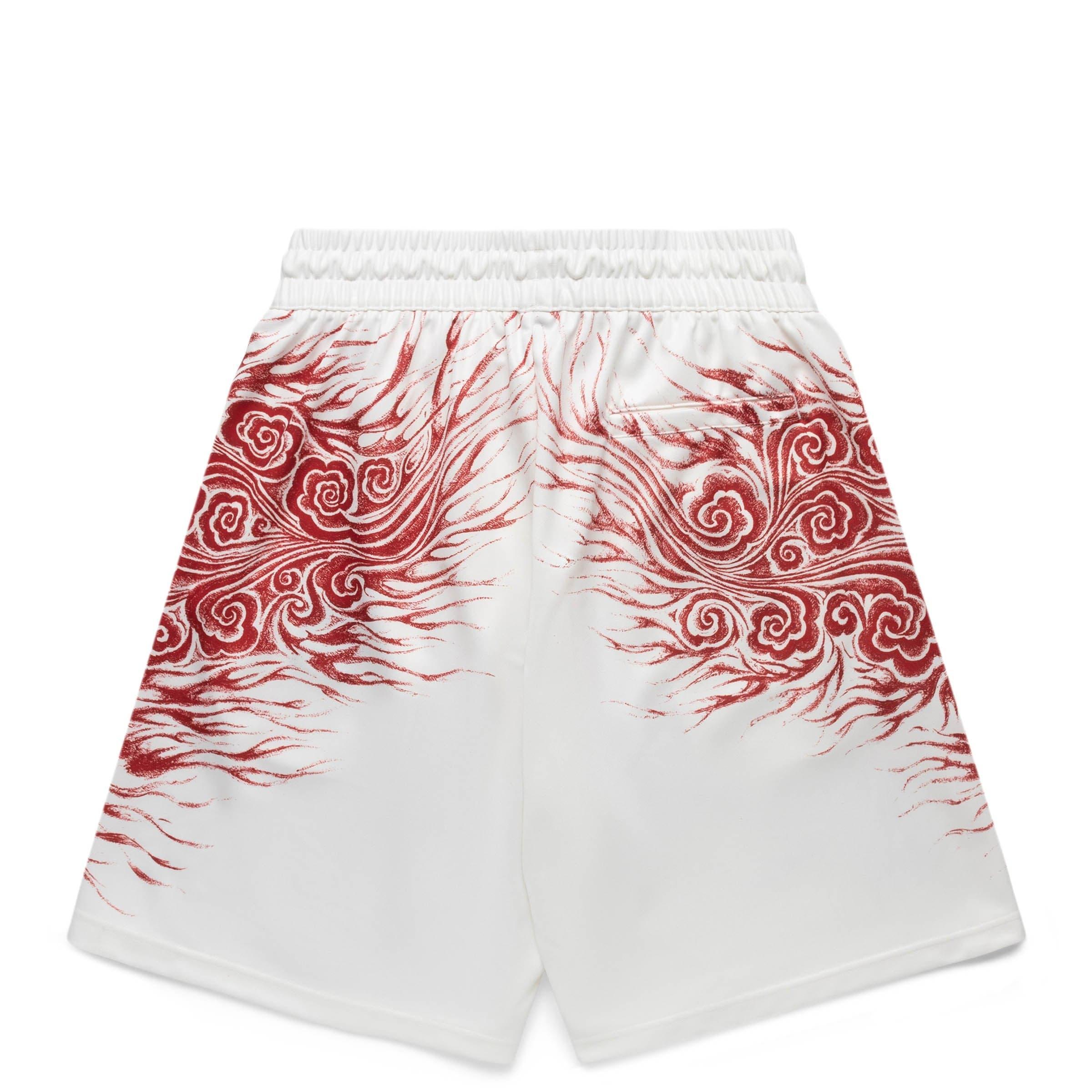 Y-3 JFA GRAPHIC SHORTS Male Product Image