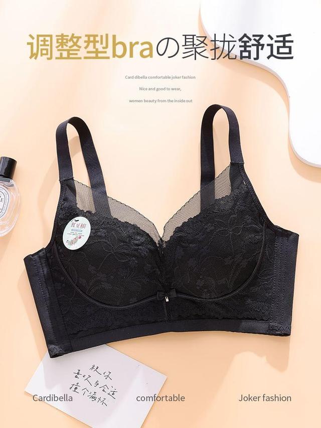 Lace Push Up Bra Product Image