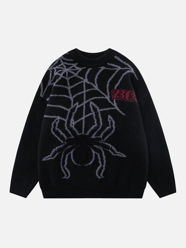 Aelfric Eden Towel Embroidery Spider Sweater Product Image