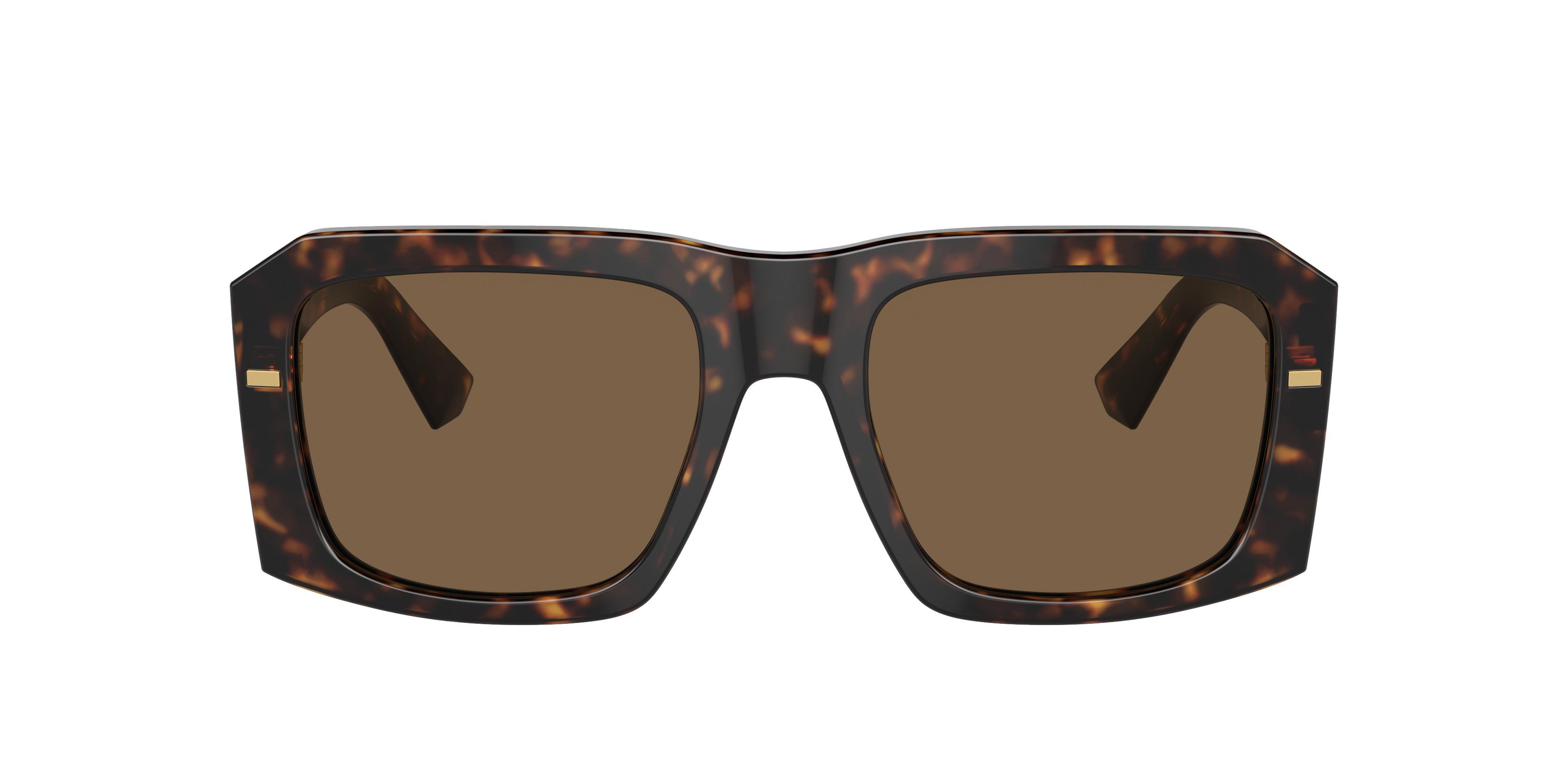 Dolce&gabbana Man Sunglass Dg4430 In Dark Brown Product Image