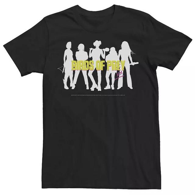 Mens Harley Quinn: Birds of Prey Girl Group Portrait Tee Product Image