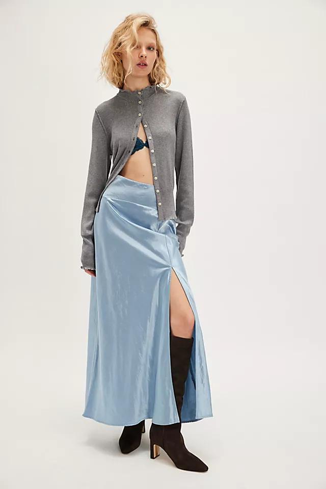 Sasha Maxi Skirt Product Image