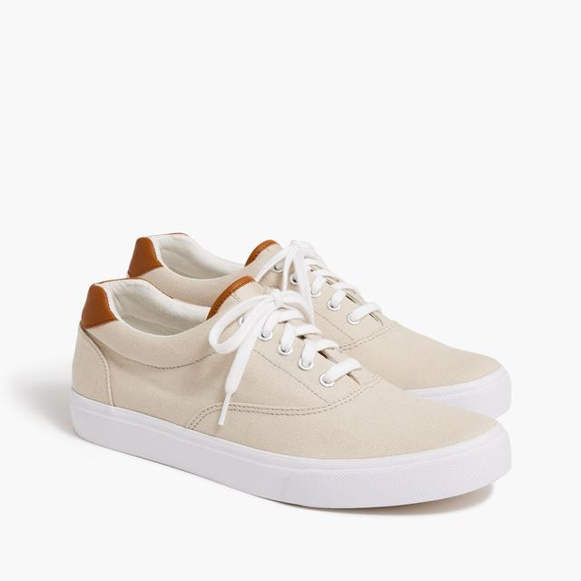 Canvas lace-up sneakers Product Image