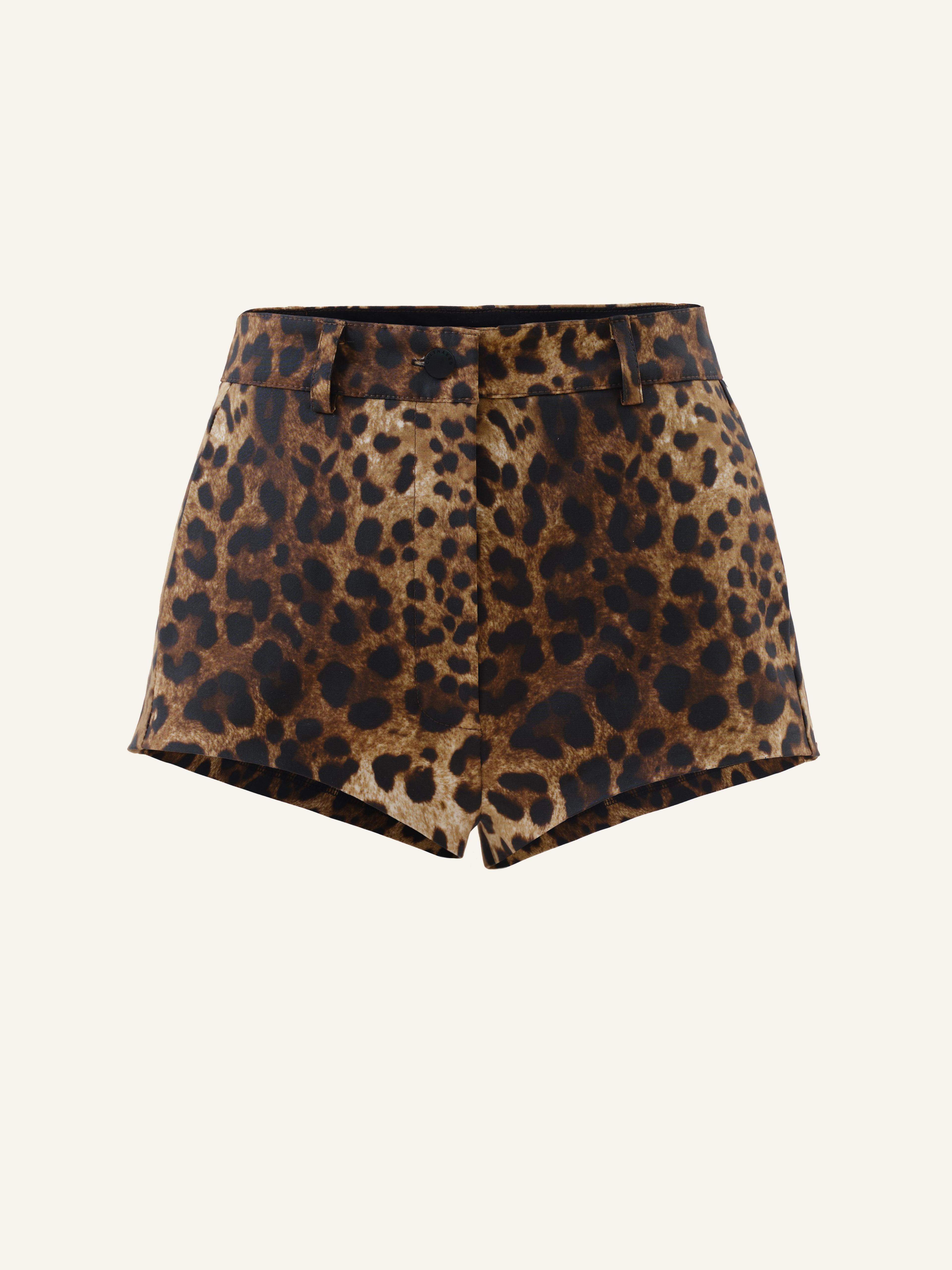 Bundle: Etta bandeau in Leopard + Vixen shorts in Leopard Product Image