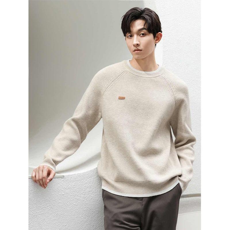 Crew Neck Contrast Trim Ribbed Sweater Product Image