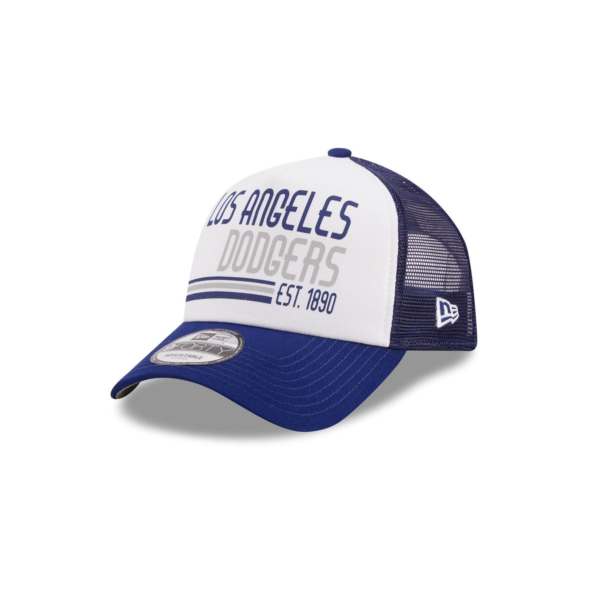 Los Angeles Dodgers Lift Pass 9FORTY A-Frame Snapback Hat Male Product Image