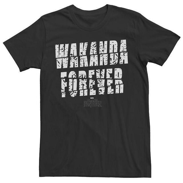 Mens Panther Wakanda Tee Product Image