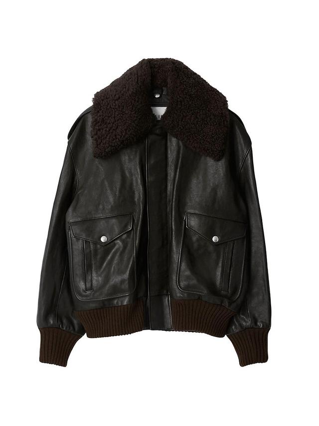 Mens Shearling Collar Leather Jacket Product Image
